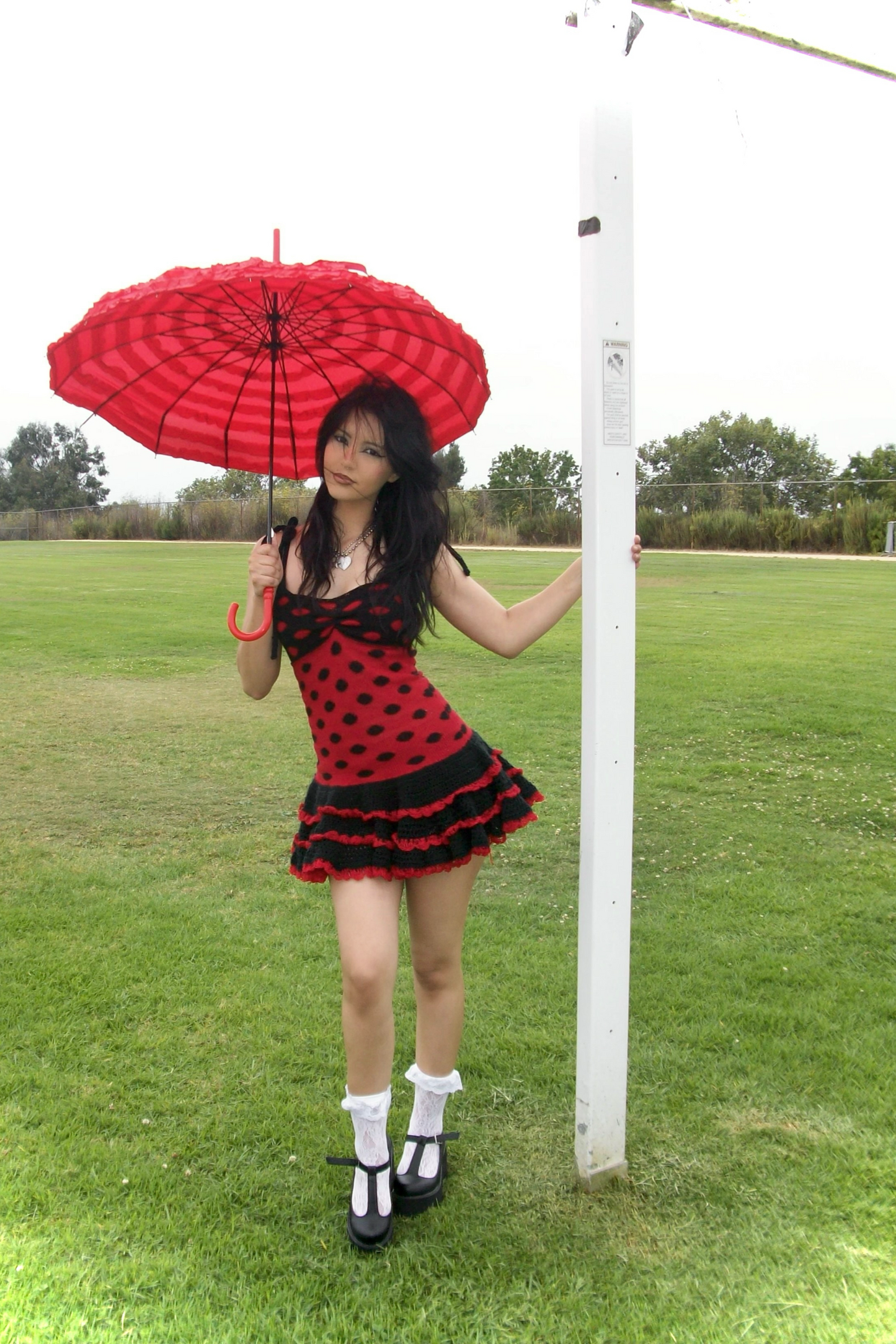 Ladybug Dress