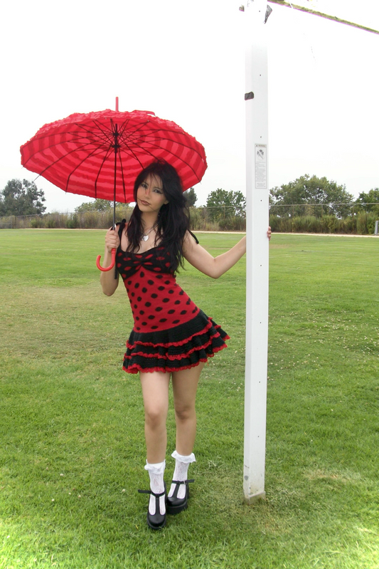 Ladybug Dress